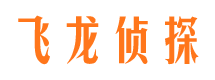 定日婚外情取证